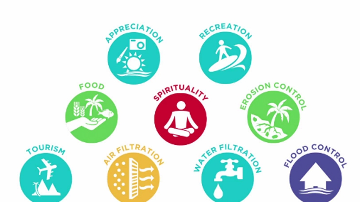 WAVES: Managing Natural Resources for Future Generations